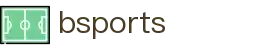 bsports(中国)B—sports登录入口